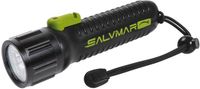 Salvimar Lecoled Duiklamp Zwart 340 Lumens
