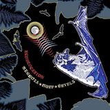 Echolocation Aum Fidelity Echolocation LP