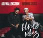 Blues Abi Wallenstein & Ludwig Seuss - Blues Vibes (CD)