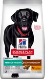Hill's Science Plan Perfect Weight & Active Mobility Large Breed Adult Hondenvoer met Kip 12kg
