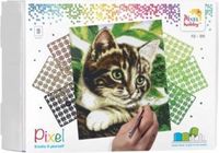 PIXELHOBBY Pixelhobby Geschenkverpakking Poes 90048