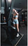 STEPR SKI XL Commercial Ski Erg met VPR