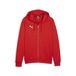 PUMA Teamgoal Casuals Sweatshirt met capuchon voor heren