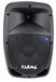160 Icecat 160 W versterkte box met USB + BT