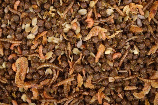 Tweetfeed Egelvoer met insecten - 1.5 kg