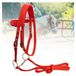 Halter en halster Fleece paard voor de winter