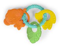 Bright Starts Baby bijtring Tropical Chews - Multicolor - Vanaf 3 maanden