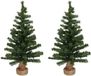 Merkloos / Sans marque Shoppartners Bv Kleine kerstbomen - 2x - in jute zak - inclusief verlichting - 75 cm - 96 warm witte LED lampjes