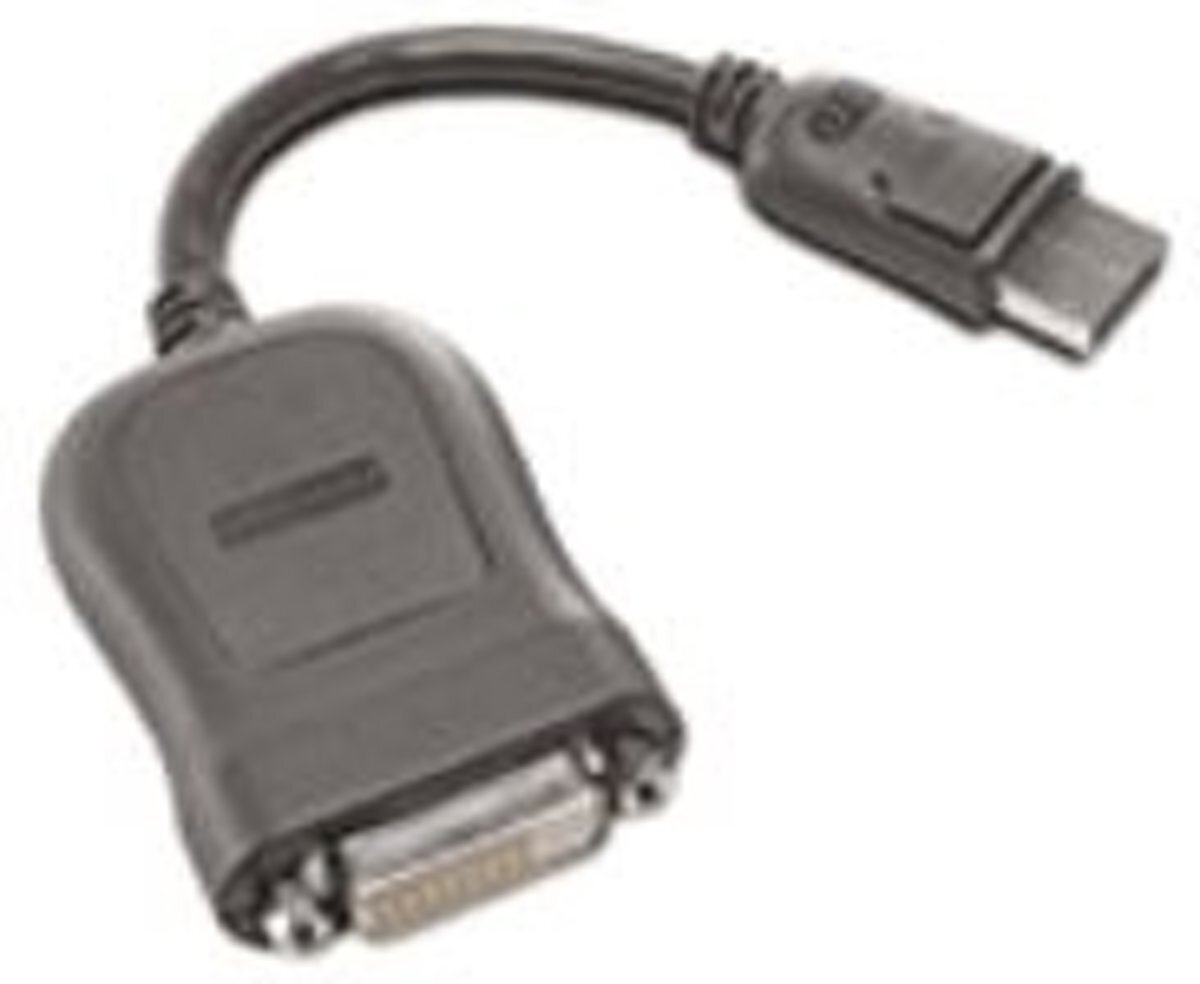Lenovo 45J7915 DVI-D DisplayPort kabeladapter/verloopstukje DisplayPort naar DVI-D Dual-link verloopkabel