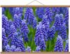 Trousse Take Your Time Schoolplaat – Paarse Hyacinten - 90x60cm Foto op Textielposter