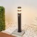 Lindby Lanea Lampe de jardin LED avec détecteur Noir/Transparent