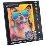 DIAMANTINY - DJ hond schilderen op nummer, meerkleurig, 32 x 30 x 2 cm, 96572