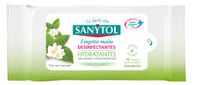 Sanytol - Lingettes désinfectantes hydratantes pour les mains - Bactéricide, virucide, fongicide - Sans rinçage - Parfum thé vert - Format compact pratique - x 12 - Lot de 4