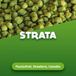 Strata Houblons en pellets Strata 1 kg