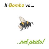 Il Bombo va... nel prato!