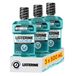 Listerine Bain de Bouche Quotidien Fraîcheur Goût Intense, 3x500 ml