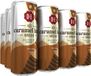 Douwe Egberts Ice Caramel Latte IJskoffie - 12 x 250 ml