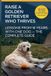 How Libri GmbH How to Raise a Golden Retriever From Puppy to a Happy Adult Dog