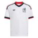 ADIDAS PERFORMANCE T-shirt fonctionnel 'Mexiko 26' vert foncé / rouge / blanc