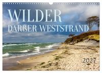 Wilder Calvendo Wilder Darßer Weststrand (Wandkalender 2027 DIN A3 quer)