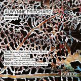 Music&Words Klaus Steffes-Hollander The Norwegian Naval Force - Alwynne Pritchard: Rockaby (CD)