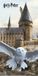 Harry Potter Strandlaken Hedwig - 70 x 140 cm - Katoen