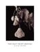 The Libri GmbH The Salt Print Manual