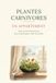 PLANTES CARNIVORES EN APPARTEMENT