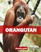 ORANGUTAN: A Beautiful Coffee Table Collection of Animal Photography