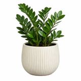 Mica Decorations Plantenpot Pablo - Keramiek - Wit Glans / Ribbels - D16 x H14 cm