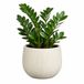 Mica Decorations Plantenpot Pablo - Keramiek - Wit Glans / Ribbels - D16 x H14 cm