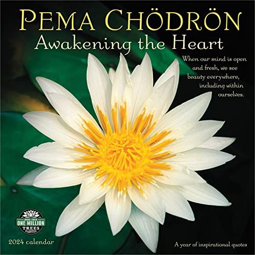 Amber Lotus Pema Chodron Kalender 2024: Awakening the Heart - Jaar vol inspiratie