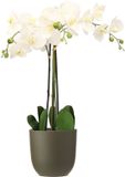 Mica Decorations Orchidee kunstplant wit - 75 cm - inclusief bloempot olijfgroen mat
