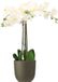 Mica Decorations Orchidee kunstplant wit - 75 cm - inclusief bloempot olijfgroen mat