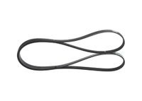 BOSCH Keilrippenriemen 1987946239