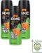 Axe 3 x Deodorant Bodyspray Jungle Fresh - 150 ml