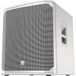 Electro Voice ELX200-18SP-W - Subwoofer - 2020 model