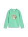 TOM TAILOR Sweatshirt chocoladebruin / cappuccino / mintgroen / watermeloen rood