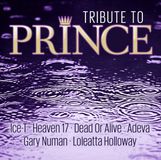 Tribute Zyx Tribute To Prince CD