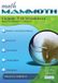 Math Mammoth Grade 7-B Worktext, International Version
