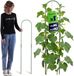 Merkloos / Sans marque Plantensteun Staal - Klimhulp Tuin - Planten Ondersteunen - Weerbestendig Gecoat - 120 x 24 cm - Groen