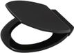 Tiger Logston abattant WC - Abattant WC - Easy Clean - MDF - FSC - Noir