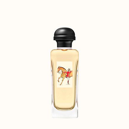 Hermes Equipage / 100 ml / Men