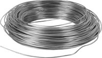 Talen Tools Spandraad Verzinkt 10 m 2 mm