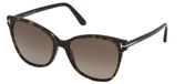 Tom Ford Ani Ft 0844 Lunettes de soleil femme havane œil de chat marron 58mm Polarisé