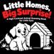 Little Homes, Big Surprise!: A High-Contrast Animal Guessing Book for Little Eyes