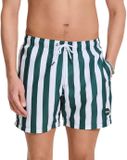 Shiwi Men Swimshort Broad Stripe Green