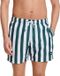 Shiwi Men Swimshort Broad Stripe Green