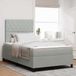 Prolenta Maison Exclusive - Lit À Ressorts Avec Matelas Gris Clair 120 X 190 Cm Velours