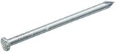 Hoenderdaal Fasteners Hoenderdaal Draadnagel platkop blank 2.4x45mm